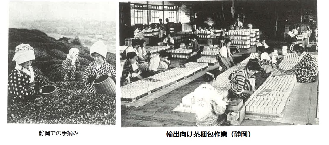 1. 和紅茶の定義と歴史
