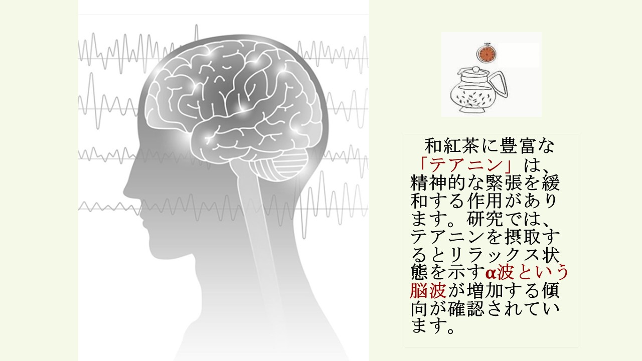 5. 和紅茶の健康効果:科学が裏付ける心と体へのやさしさ